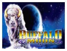 Buffalo Moon