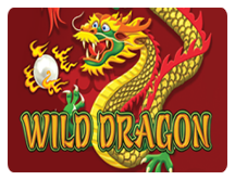Wild Dragon